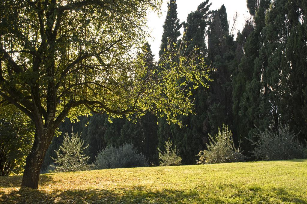 Villa Montaperti Monteaperti  Pokój zdjęcie